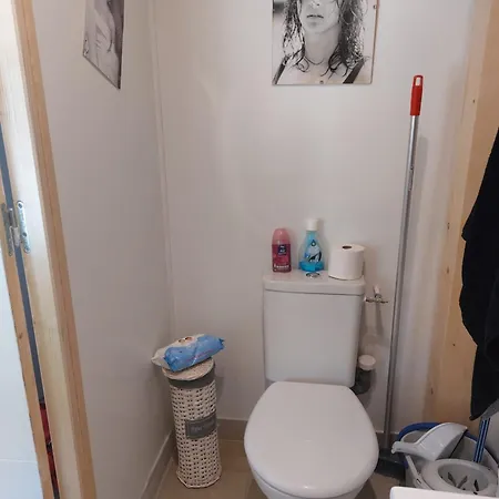 Dormir A Montauban Logements Carreyrat Calme Et Verdoyant Exterior photo