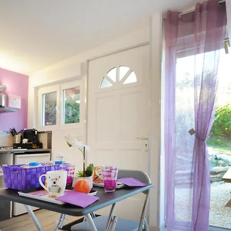 Dormir A Montauban Logements Carreyrat Calme Et Verdoyant Exterior photo