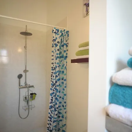 Dormir A Montauban Logements Carreyrat Calme Et Verdoyant Exterior photo