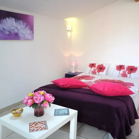 Dormir A Montauban Logements Carreyrat Calme Et Verdoyant Exterior photo
