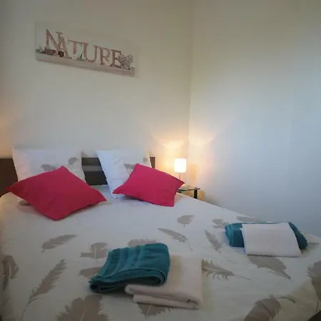 Dormir A Montauban Logements Carreyrat Calme Et Verdoyant Exterior photo