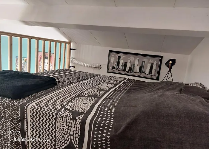 Dormir A Montauban Logements Carreyrat Calme Et Verdoyant
