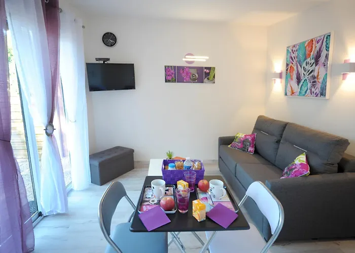 Dormir A Montauban Logements Carreyrat Calme Et Verdoyant